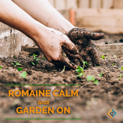 Romaine Calm and Garden On: Tips to Get Your Garden Growing