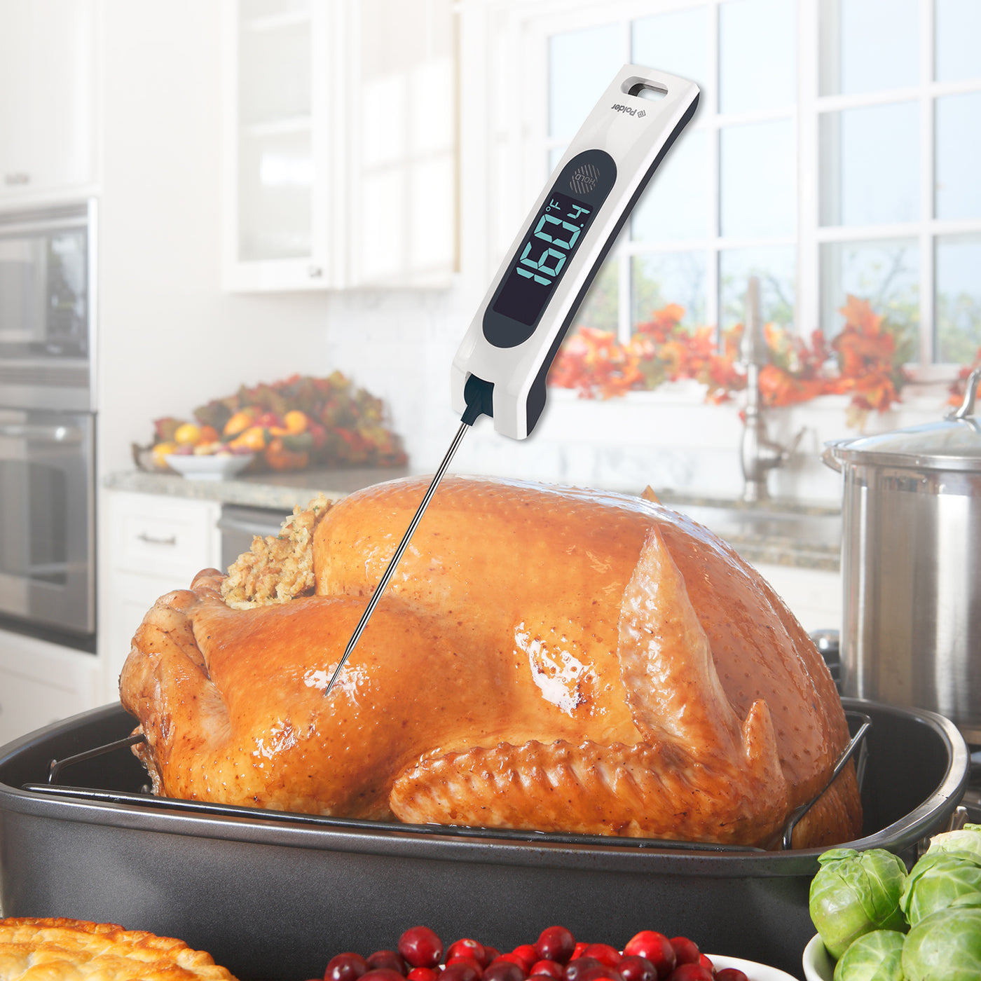 Sous Chef Rapid Read Thermometer